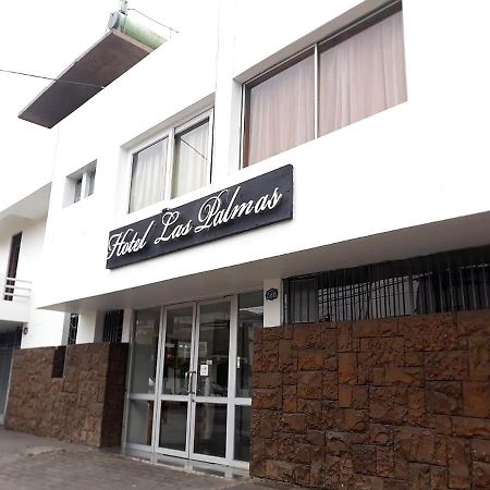 Hotel Las Palmas อารีกา ภายนอก รูปภาพ