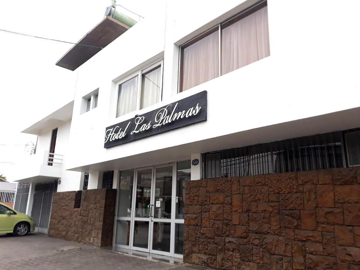Hotel Las Palmas อารีกา ภายนอก รูปภาพ
